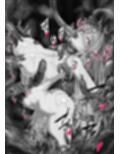 戦姫捕獲日記