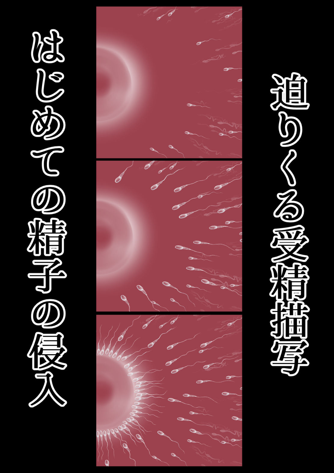 サンプル画像3:走り屋H（はしりやえっち）地元最速になれなかったふたり(もうゆる産業) [d_699540]