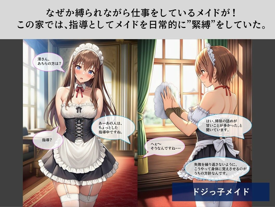 【TheDID】婦警さん緊縛監禁/ドジっ子メイド 画像6