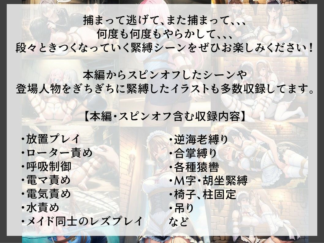 【TheDID】婦警さん緊縛監禁/ドジっ子メイド 画像9