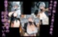 ヒロイン飼育  狂犬姫スカーレットが熟女になり無力化し囚われ奴●化するCG集