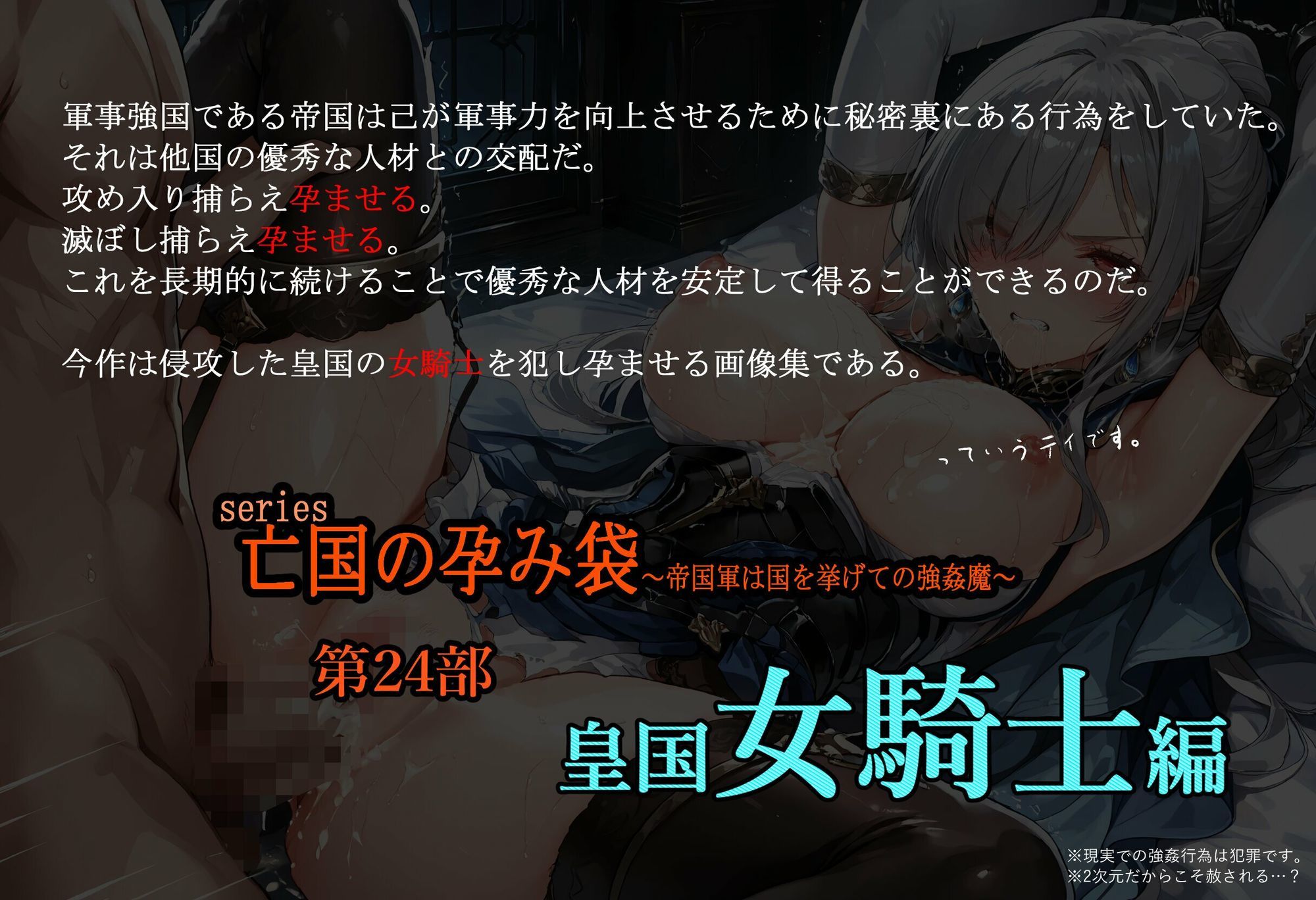 亡国の孕み袋  帝国軍は国を挙げての強●魔  第24部   皇国 女騎士編 画像1