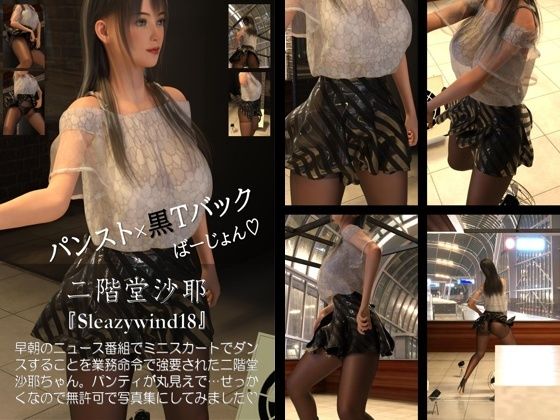 【chrl500】二階堂沙耶の「Sleazywind」シリーズ11〜20がお得なセットに！10本パック総集編！ 画像8