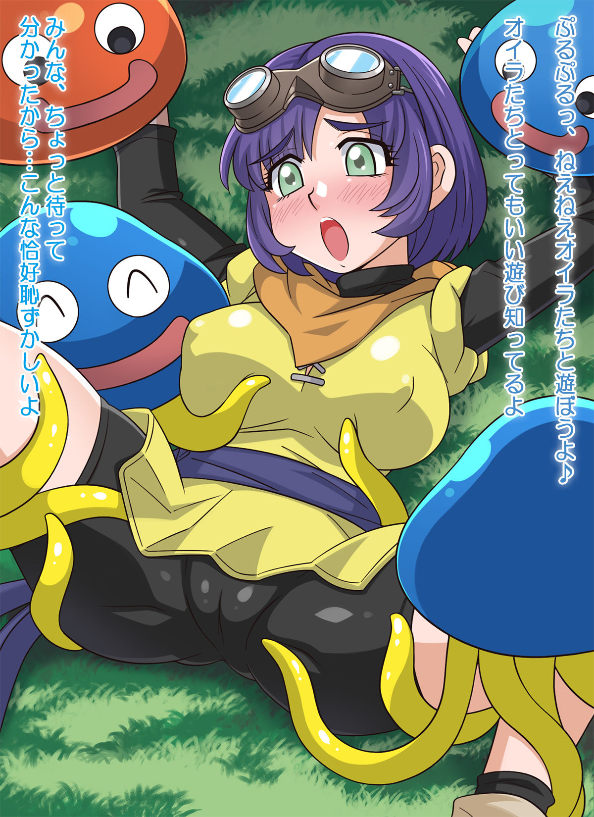 サンプル画像2:どらてん！！(ほいみんのほこら) [d_705618]