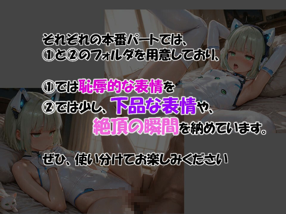 【誤配送で届いたアンドロイド少女を返品期間まで好き勝手にする】3