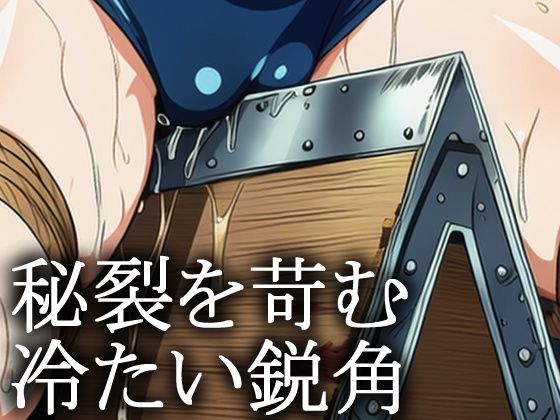 戦車女子 緊縛三角木馬責め Vol.1 画像5