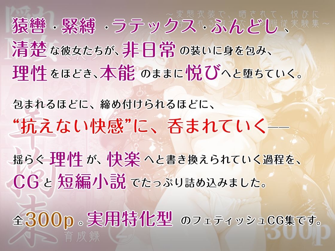 隠れM女さんの革拘束育成録2 〜変態衣装で、晒されて、悦びに呑まれる淑女たちの服従実験集〜 画像1