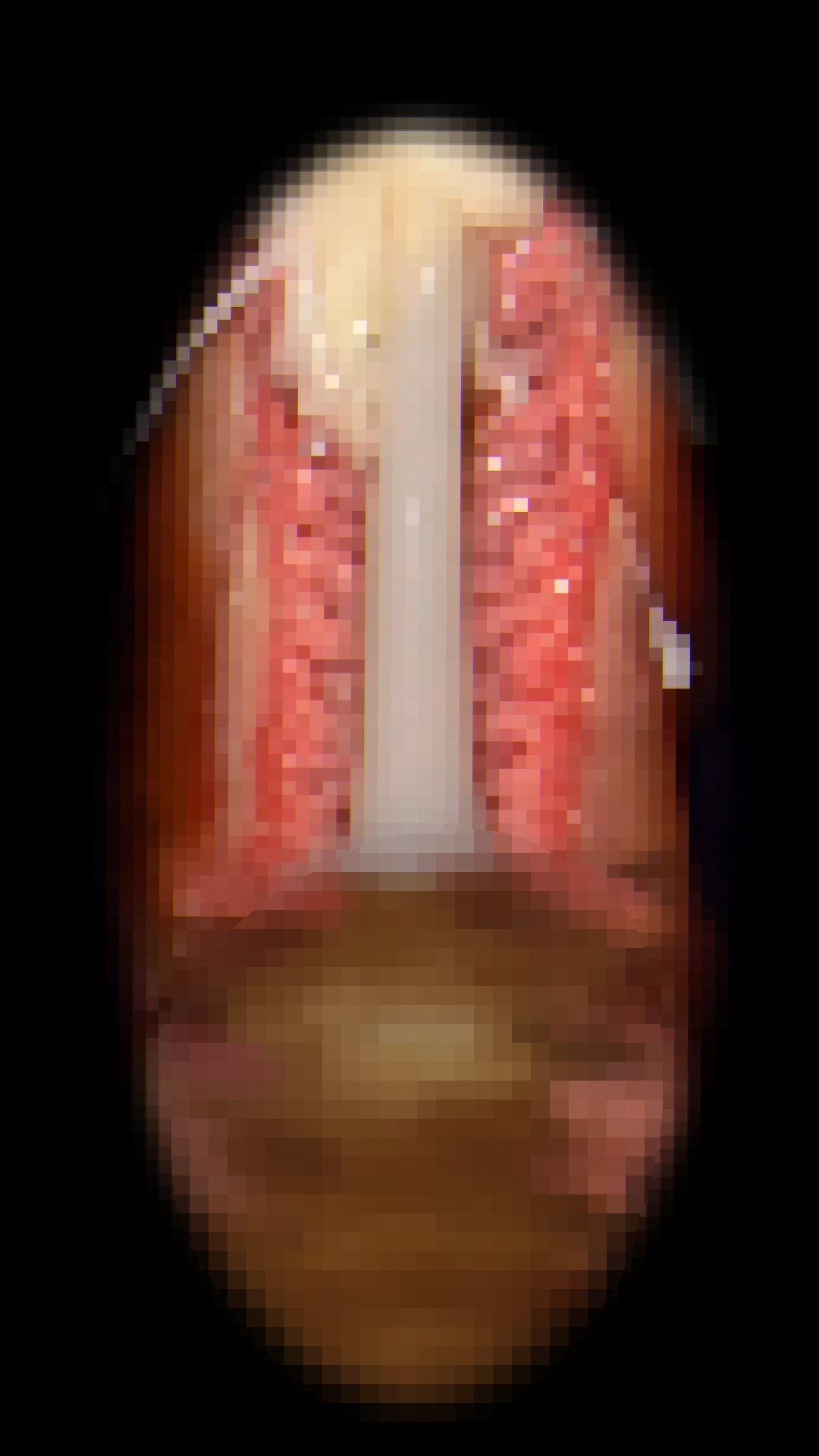 保健室の眠れる人魚姫 画像7