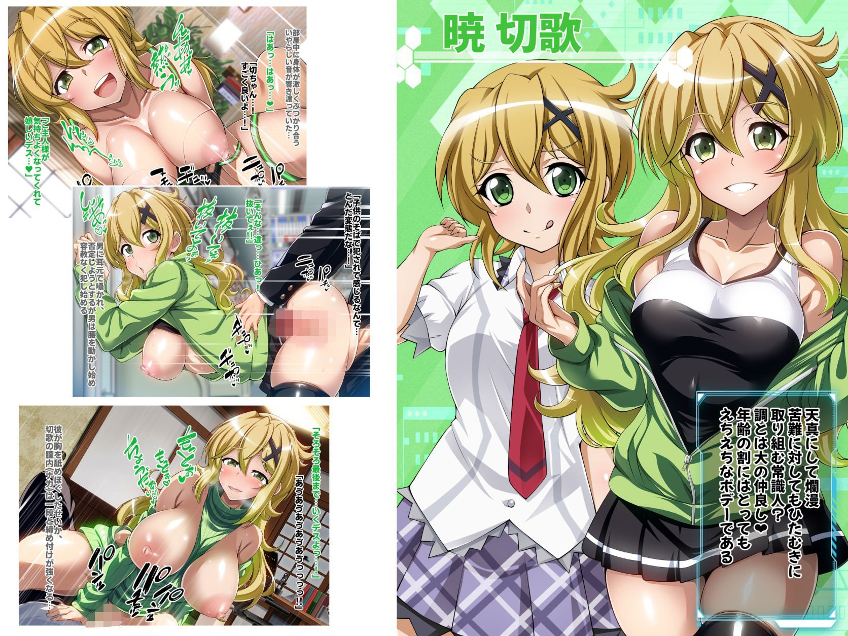 サンプル画像1:【戦姫絶頂シンフォギアH9】(ファンタスティック☆猫侍) [d_709920]