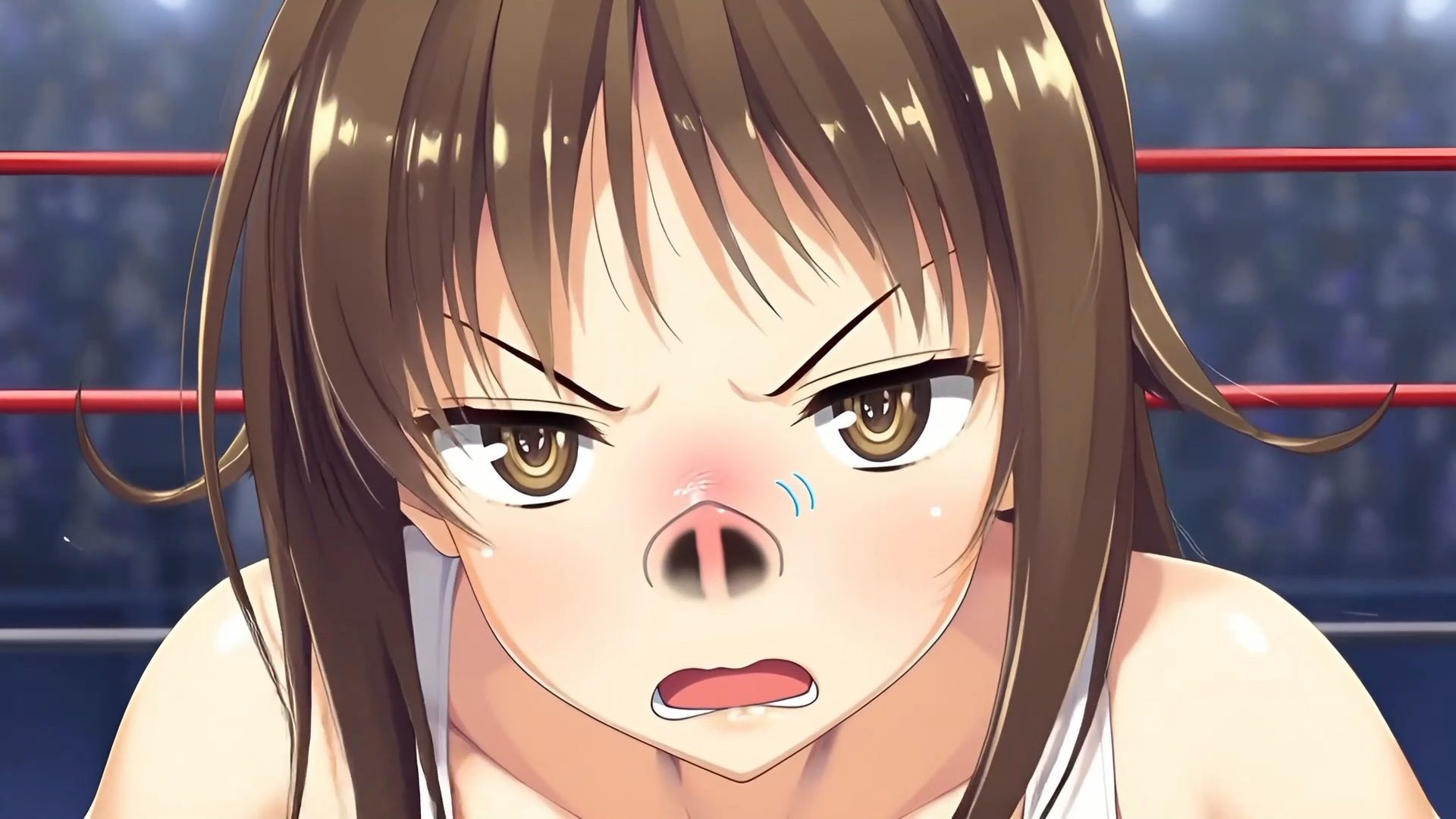 【超自信作！】くしゃみdeプロレス！フルアニメーション！/ Wrestling and Sneeze！ Full Animation！ 画像1