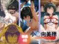 トップアイドルの裏帳簿 動画パック Cute