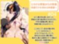 【ハイスクールD×D】メス堕ち巨乳ヒロイン、ビキニでSEX三昧〜姫島朱乃〜