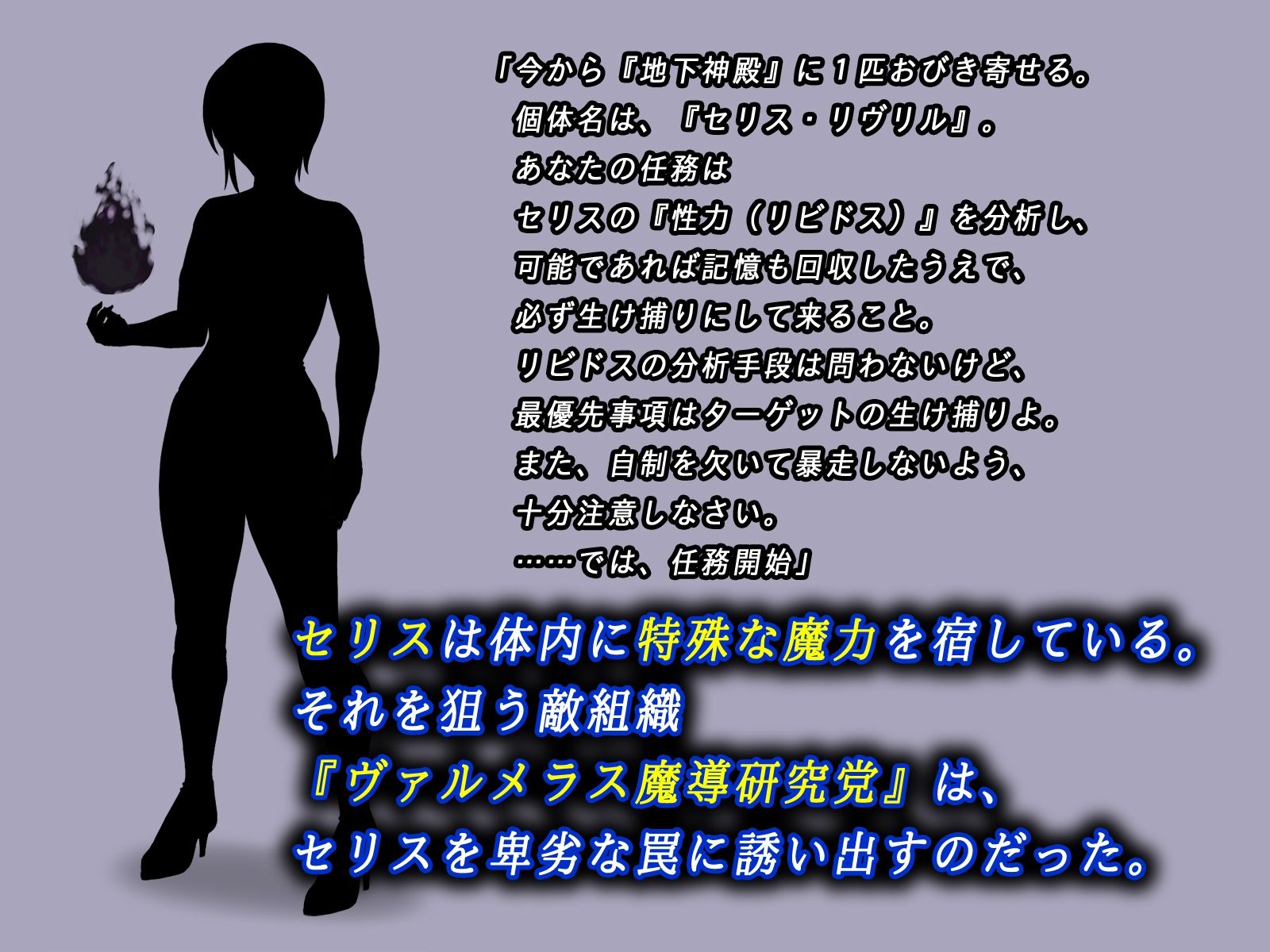 フィリナレス魔導戦士Vol.1〜敗北と無情の快楽〜（セリス編） 画像2