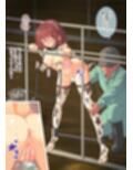 牛娘調教牧場