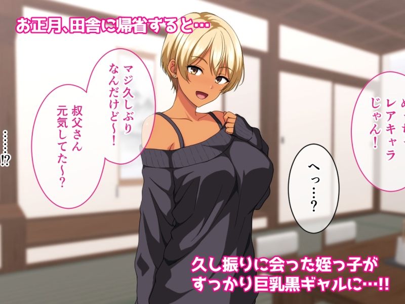 サンプル画像1:ビッチギャル化したエロすぎる姪っ子に財布もザーメンもからっぽになるまで注ぎ込んだ正月。(ホワイトノート) [d_714520]