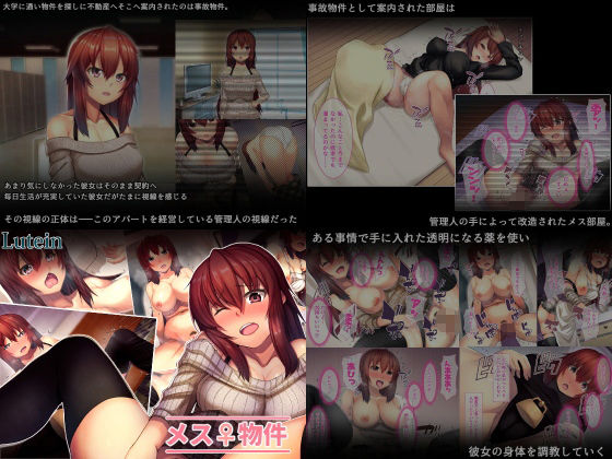 サンプル画像3:るていんSS4点パック5(るていん) [d_714910]