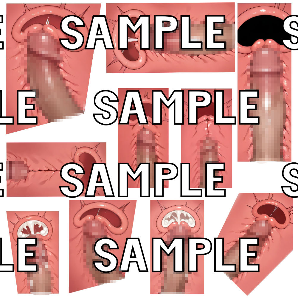 断面図素材イラスト詰合せ 画像4