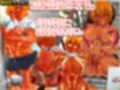 性器や肛門を外で出して興奮する露出狂女たち総集編