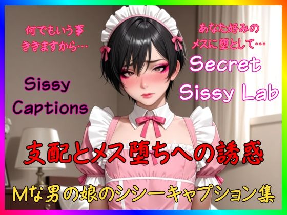 Sissy Captions Mな男の娘のシシーキャプション集 支配とメス堕ちへの誘惑 何でもいう事ききますから… あなた好みのメスに堕として…