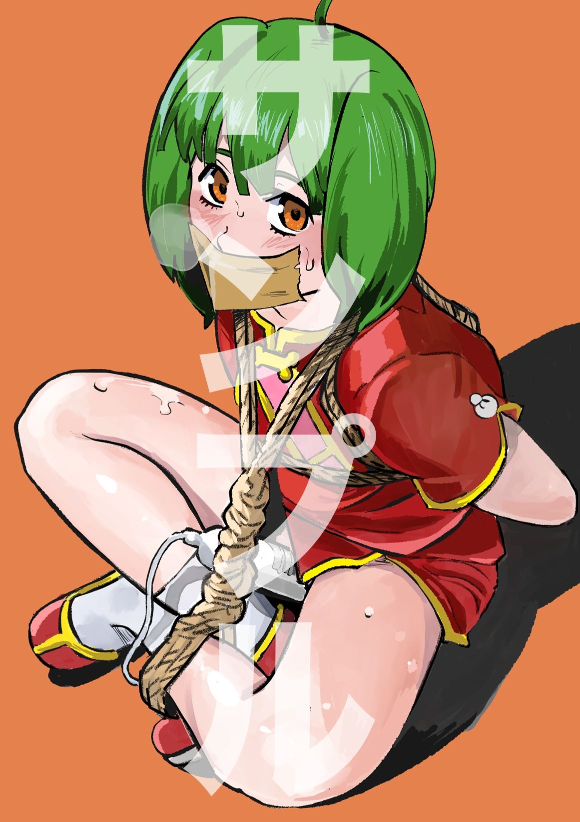 マクロスF キャラ緊縛 画像4