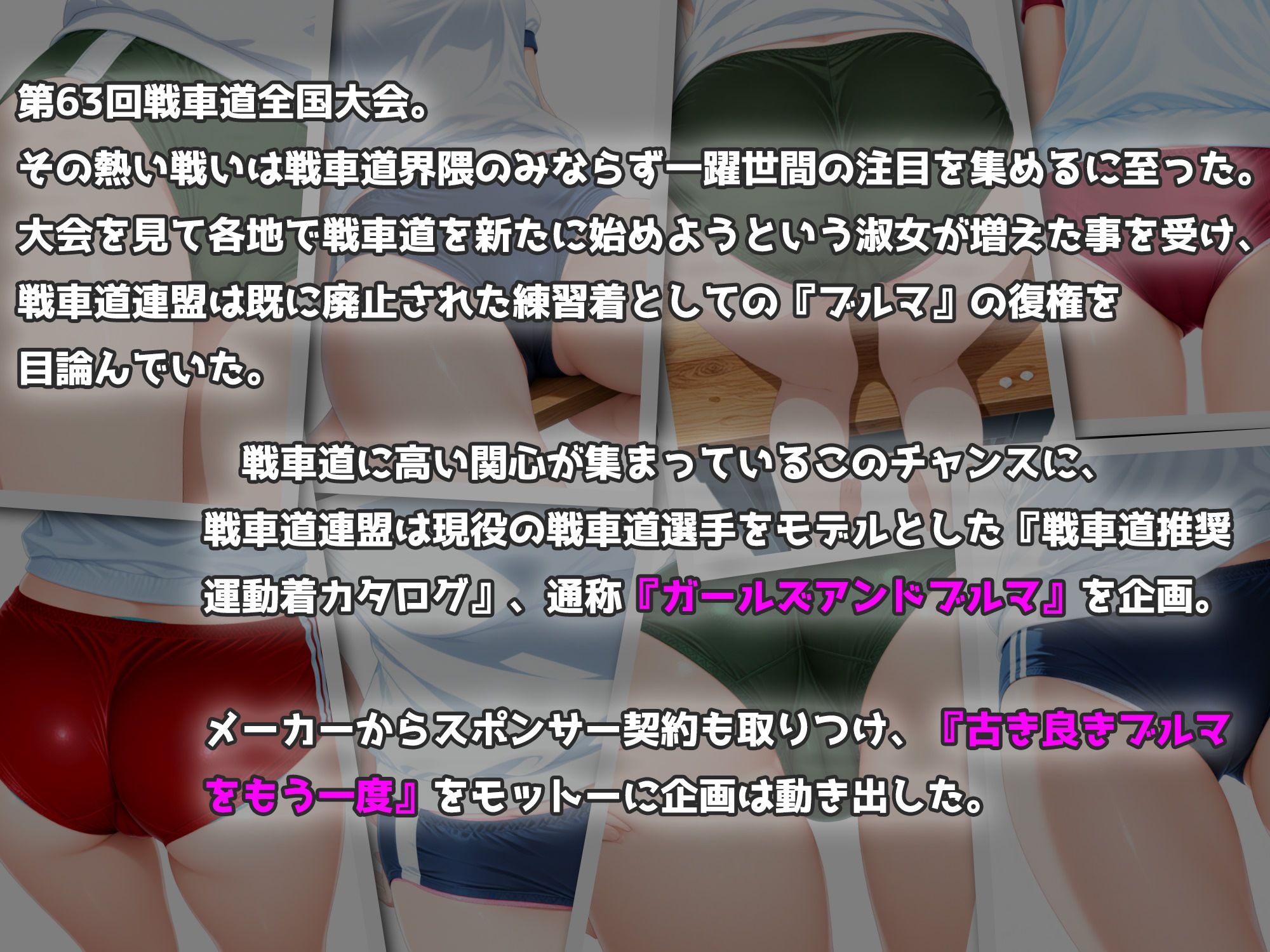 Girls und Buruma Hamipan カメさん＆カモさんチーム編 画像1