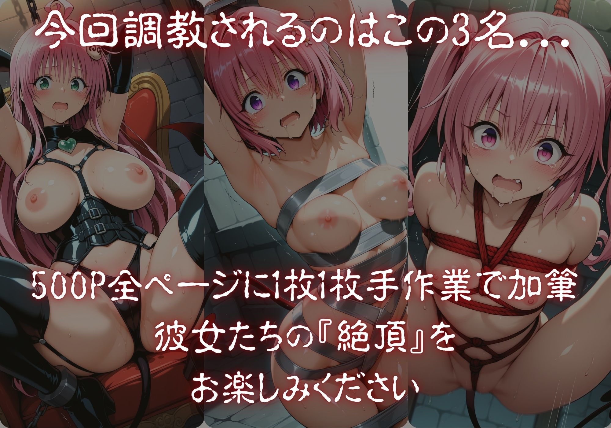 サンプル画像1:調教ヒロイン∞『絶頂』記録〜ラ〇・モ〇・ナ〇〜(調教師) [d_717630]