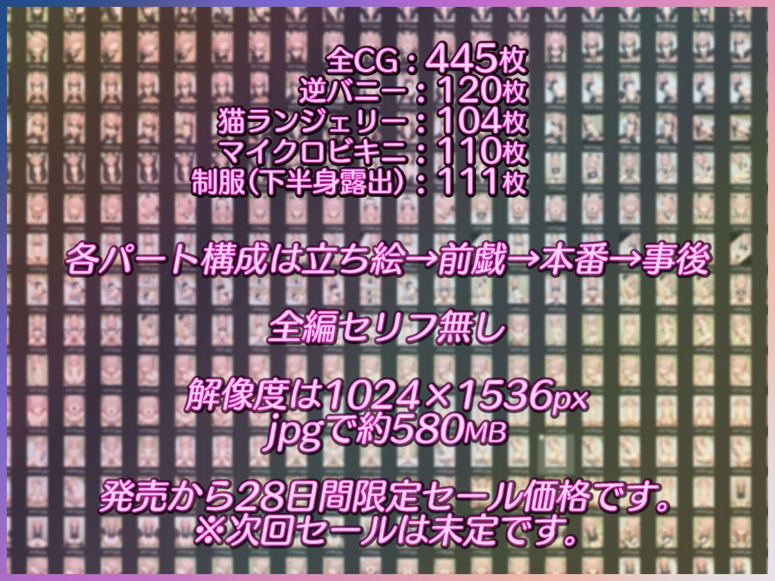 サンプル画像3:顔の良い女にバカみたいなコスプレさせて汗だくえっち！3(ダブルスラッシュ) [d_720212]