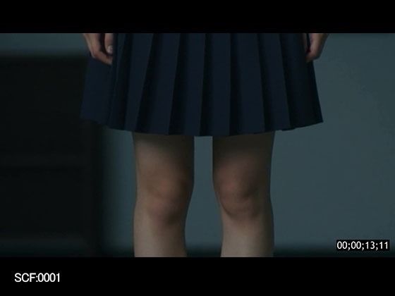 性犯罪ファイル Vol.0001 エロ漫画5