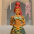 ゲルドの掟（ゼ○ダの伝説）