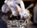 【動画2本】エルフリサが湖でラブラブしたり3Pする動画パック