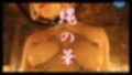 縄の華