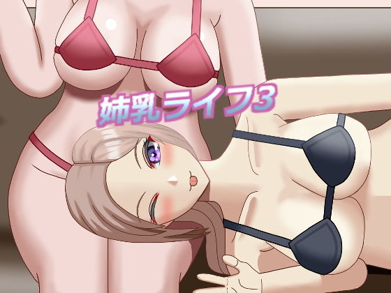姉乳ライフ3 画像1