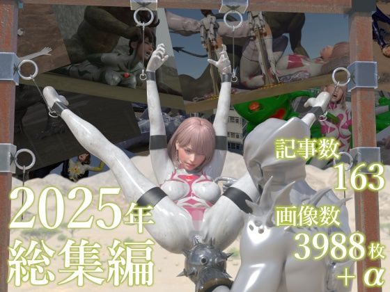 tsumayoji研究所 2025年 総集編【tsumayoji研究所】