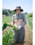 胸丸出し巨乳職業美女 vol.2〜建設作業員・自動車整備士・ハンバーガー屋店員・カジノディーラーほか〜