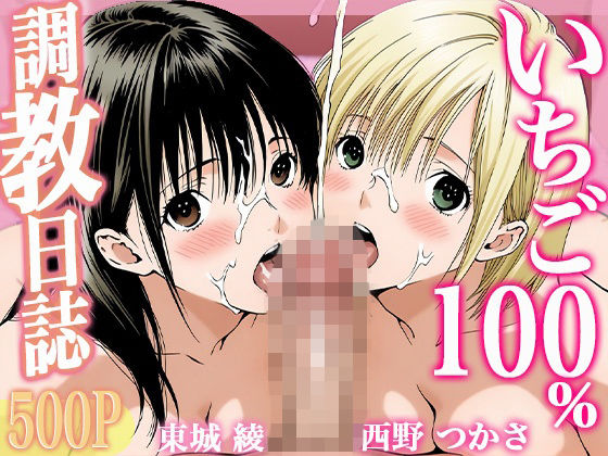 調教日誌 東城綾 西野つかさ【すぽんじけーき】