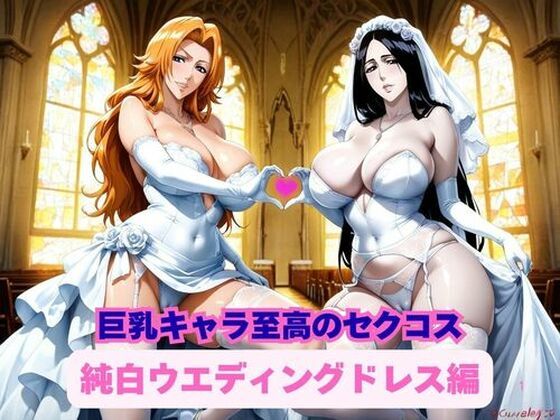d_728145｜巨乳キャラ達による至高のセクコス、純白ウエディングドレス編【ギャルサー】