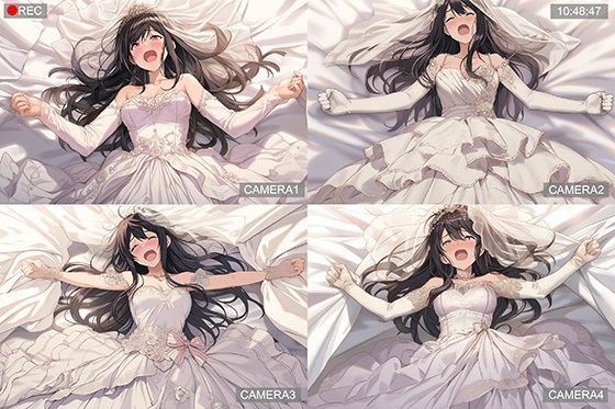 【ドレス美少女48】快楽ドレスの館