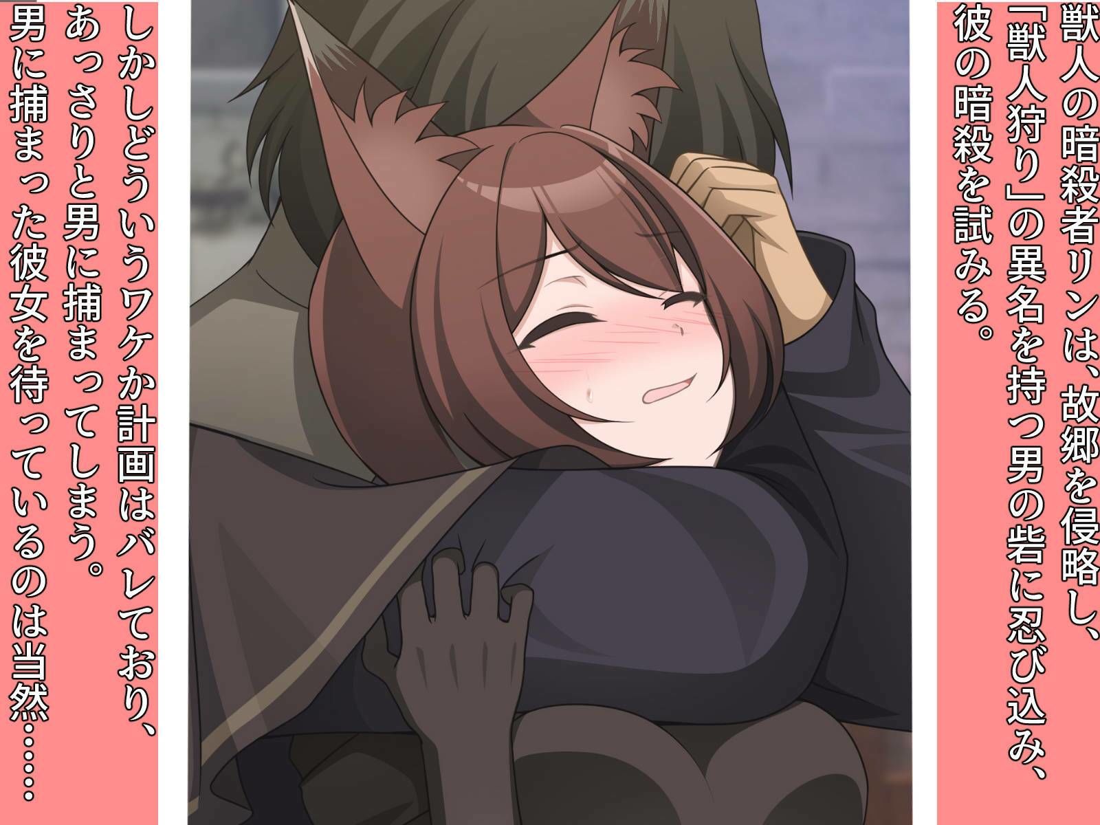 捕まった獣人暗殺者、イエネコになる。 画像1