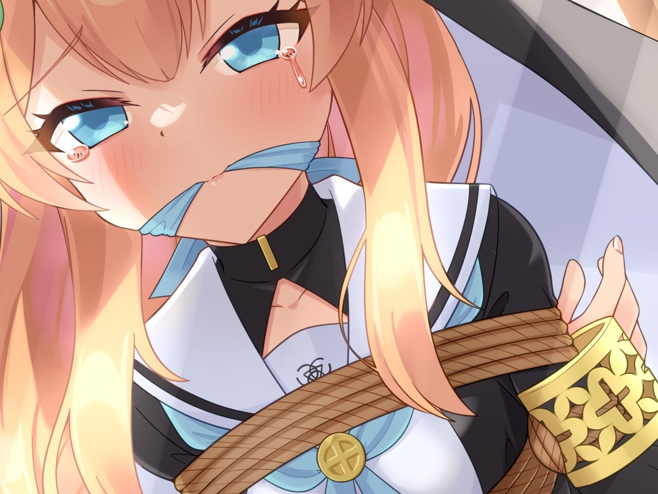 着衣緊縛CG集 なわのかなた 2024A_0