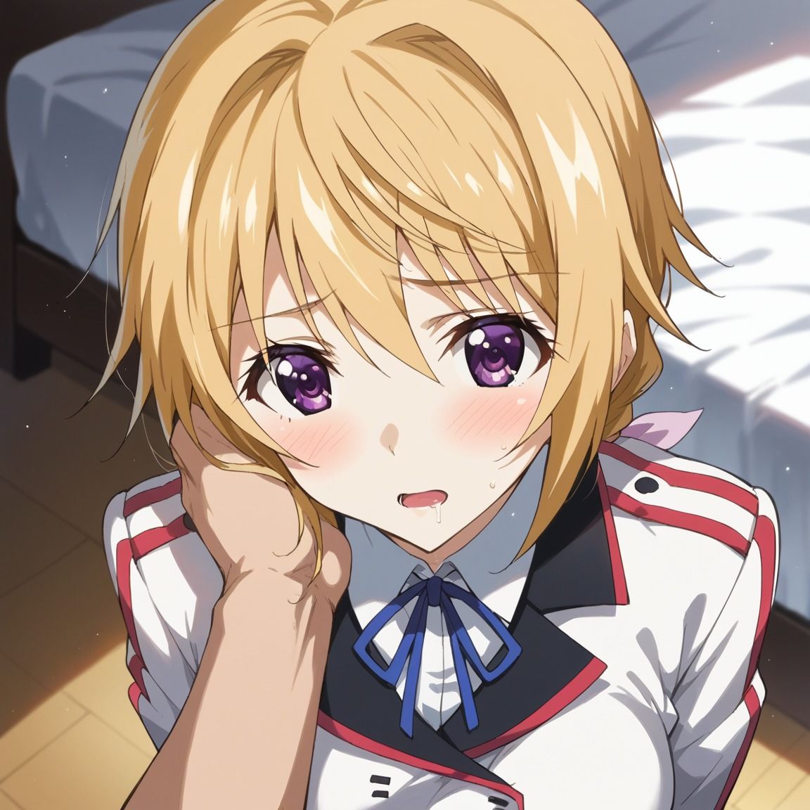 シャルロット・デュノアイラスト集1 画像1