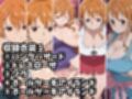 【ナミ10衣装収録】女海賊完全服従【パンクハザード  ドレスローザ  ゾウ  ホールケーキアイランド  ホールケーキアイランド2  ホールケーキアイラン3  ワノ国  ワノ国2  鬼ヶ島  エッグヘッド】
