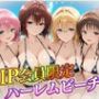VIP会員限定のハーレムビーチ  トラブル編2