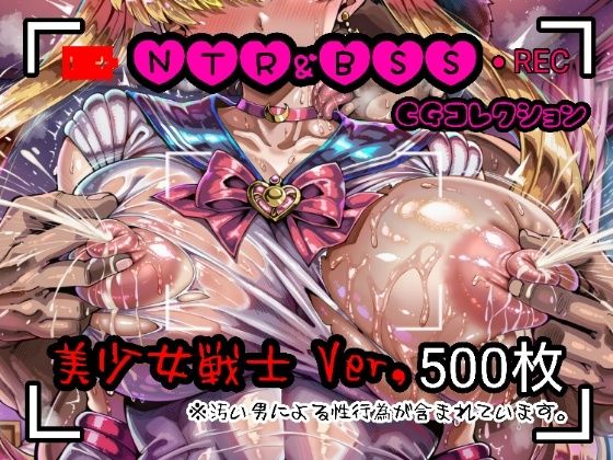 NTR＆BSS CGコレクション  美少女戦士ver【酢豚定食】
