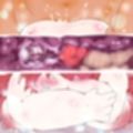CHAOS COMPLEX -コルリヒメはくじけない。