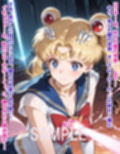 敵と戦いピンチになる魔法少女 Vol6