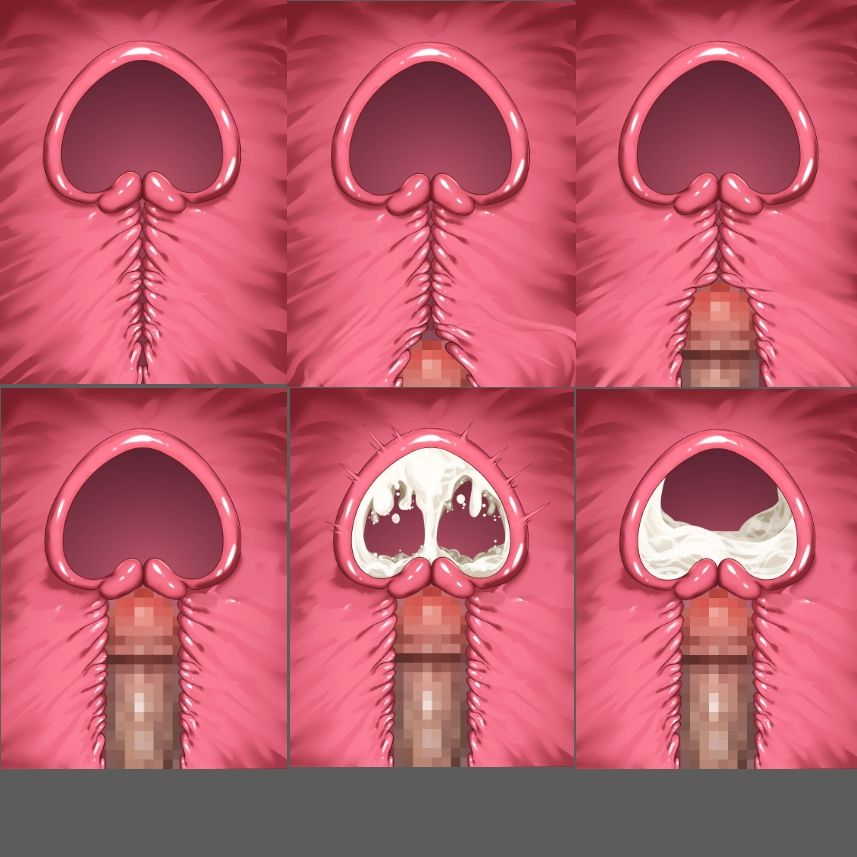 膣内断面図素材 画像2