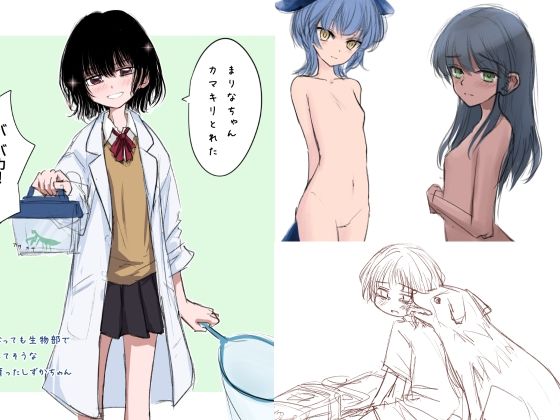 Silveredsteel&らいどないん 公開絵全部パック vol.07 (2025年下半期)3