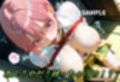 五等分なんかしないで私だけにしちゃいなよ？〜長女の緊縛誘惑〜