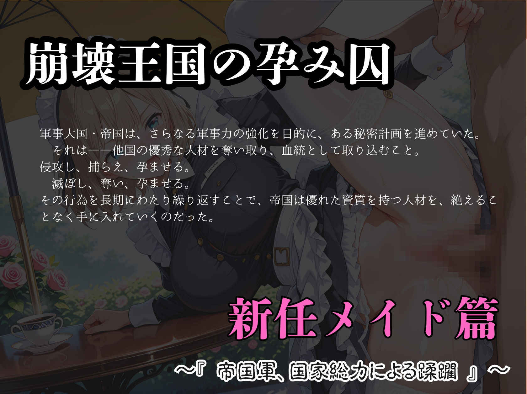 崩壊王国の孕み囚  〜『 帝国軍、国家総力による蹂躙 』 〜  新任メイド篇 画像1