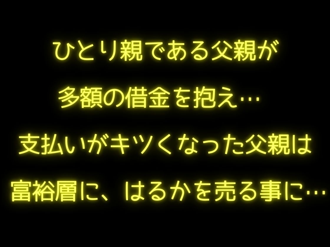 これが金持ちのアソビ…富裕層に飼われた女子校生2